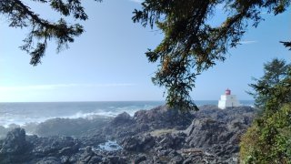 Wild Pacific Trail à Tofino