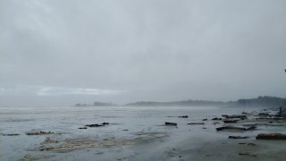 Long Beach à Tofino