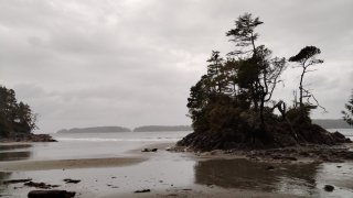 Plage de Tofino