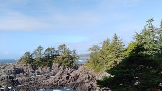 Wild Pacific Trail à Tofino au Canada